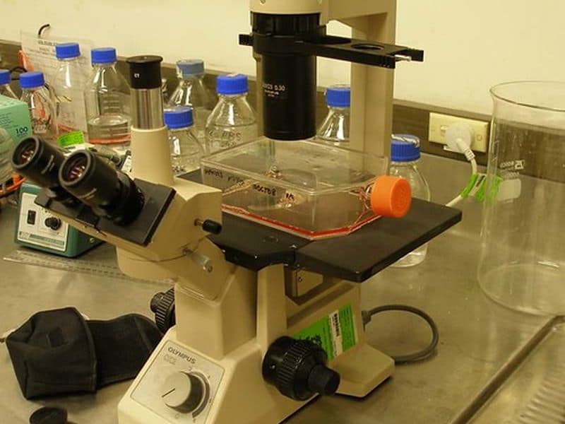 In-house quality assurance laboratory